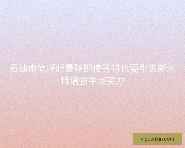 费迪南德呼吁曼联即使等待也要引进斯米特增强中场实力 费迪南德呼吁曼联即使等待也要引进斯米特增强中场实力